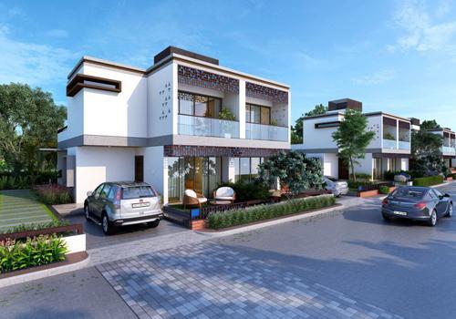 7 Oak Golden City